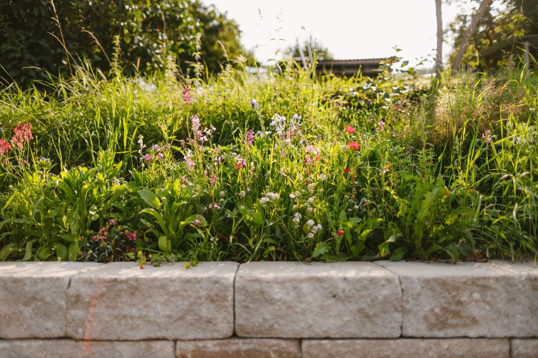 Hanggarten mit Natursteinmauern – Foto 11 von 14